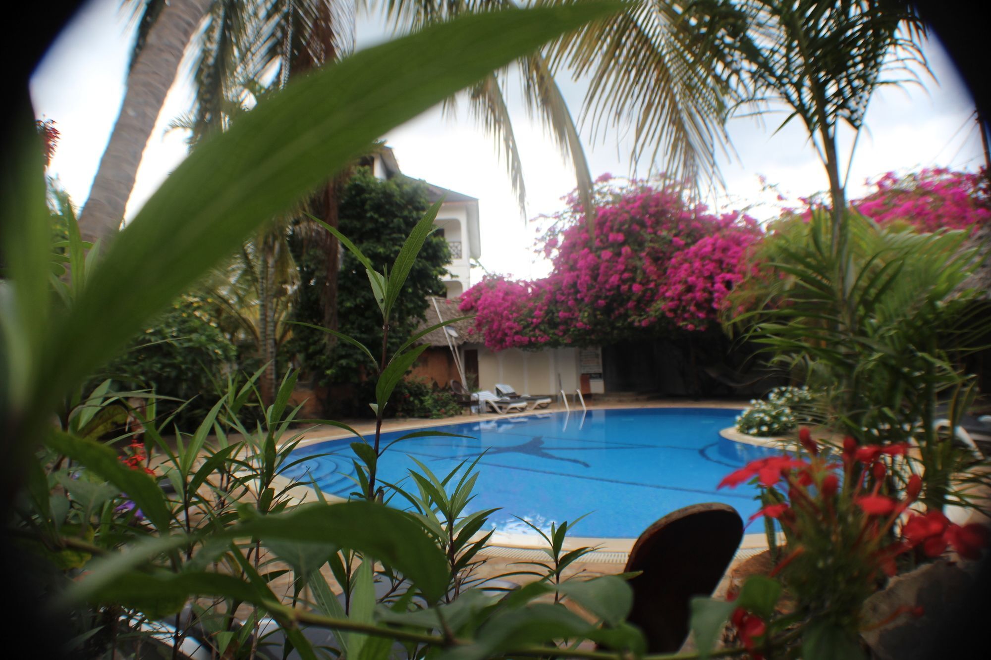 נונגווי Langi Langi Beach Bungalows מראה חיצוני תמונה
